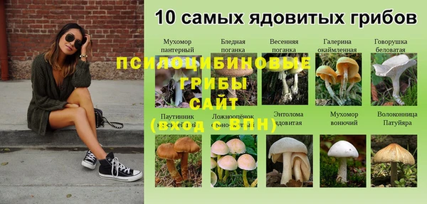 альфа пвп Арсеньев